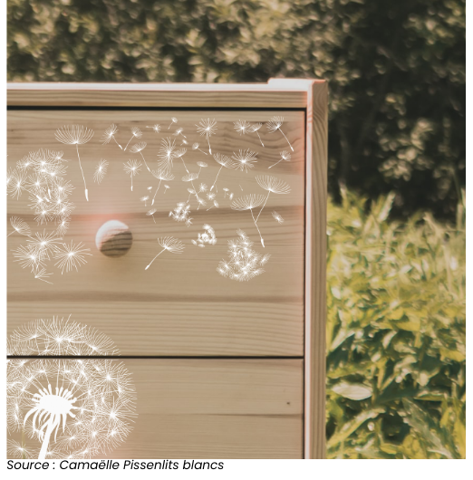 Commode en bois clair ornée de motifs de pissenlits blancs de Camaëlle, située dans un cadre naturel. Parfaite pour une rénovation élégante et champêtre d’un meuble ancien.